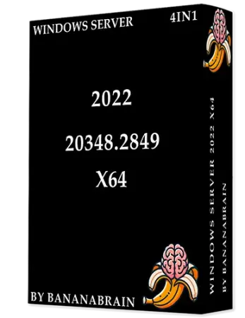 Windows Server 2022 (4in1)