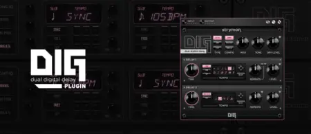 Strymon - DIG Plugin