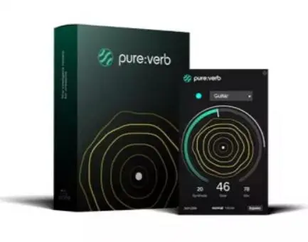 Pure Verb