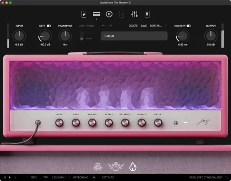 Neural DSP - Archetype: Tim Henson X