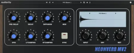 Audiority - NeonVerb