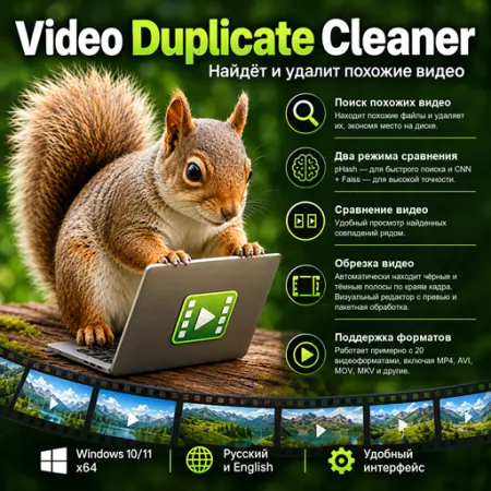 Video Duplicate Cleaner